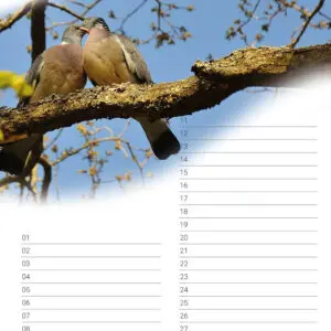 verjaardagskalender 'Animals in Love' April