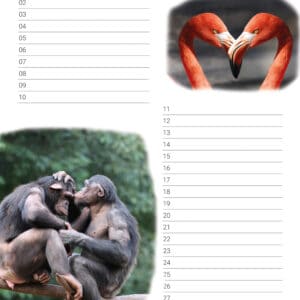 verjaardagskalender 'Animals in Love' December