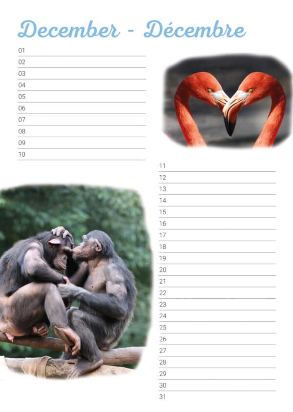 verjaardagskalender 'Animals in Love' December