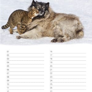 verjaardagskalender 'Animals in Love' Januari