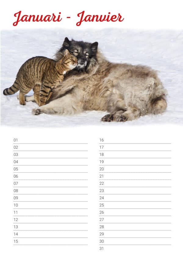 verjaardagskalender 'Animals in Love' Januari