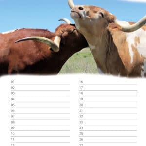 verjaardagskalender 'Animals in Love' Juni