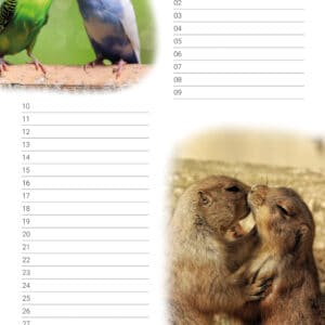 verjaardagskalender 'Animals in Love' Maart