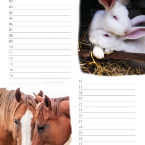 verjaardagskalender 'Animals in Love' November