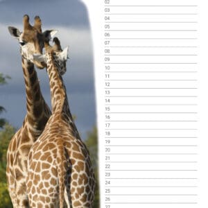 verjaardagskalender 'Animals in Love' Oktober