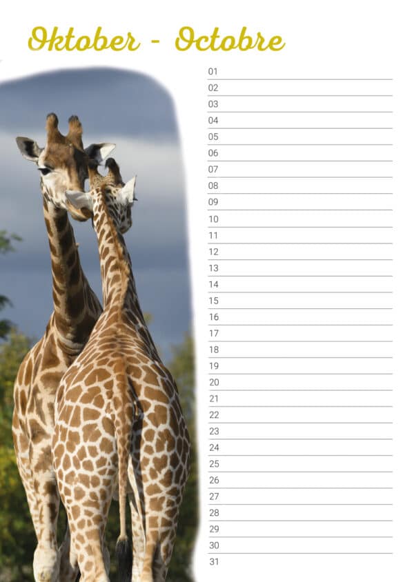 verjaardagskalender 'Animals in Love' Oktober