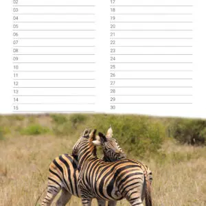 verjaardagskalender 'Animals in Love' September