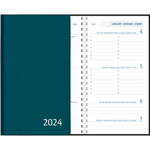 Agenda Visuplan 2024 perl - blauwgroen