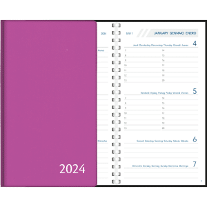 Agenda Visuplan 2024 perl - purper