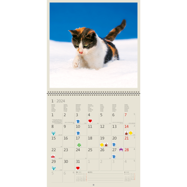 Muurkalender Cats 2024 - Januari