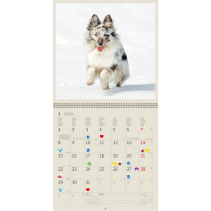 Muurkalender Dogs 2024 - Januari