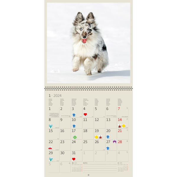 Muurkalender Dogs 2024 - Januari