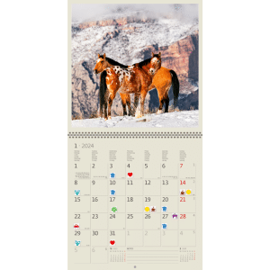 Muurkalender Horses 2024 - Januari