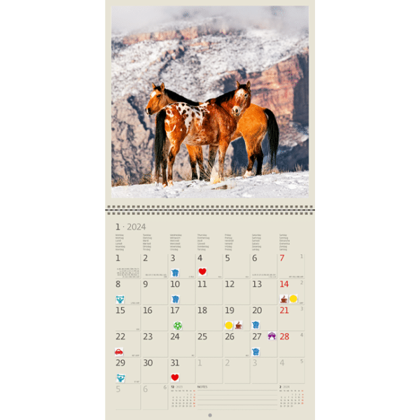 Muurkalender Horses 2024 - Januari