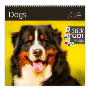 Muurkalender Dogs 2024