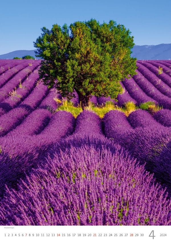 Kalender Provence 2024 - April