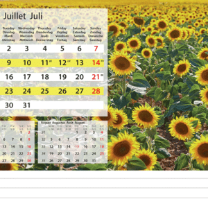 Kantoorkalender Serenity 2024 - Juli