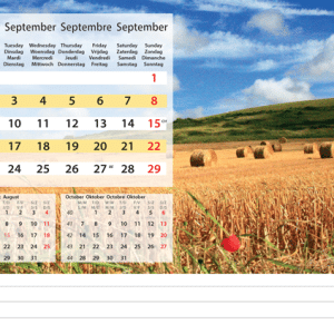Kantoorkalender Serenity 2024 - September