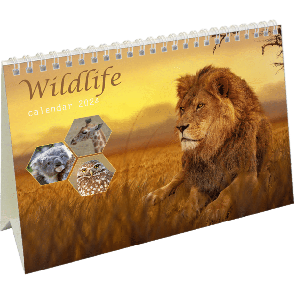 Kantoorkalender Wildlife 2024