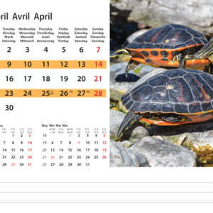 Kantoorkalender Wildlife 2024 - April