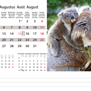 Kantoorkalender Wildlife 2024 - Augustus