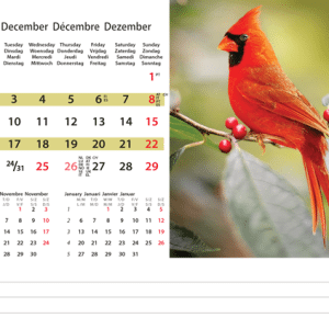 Kantoorkalender Wildlife 2024 - December