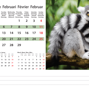 Kantoorkalender Wildlife 2024 - Februari