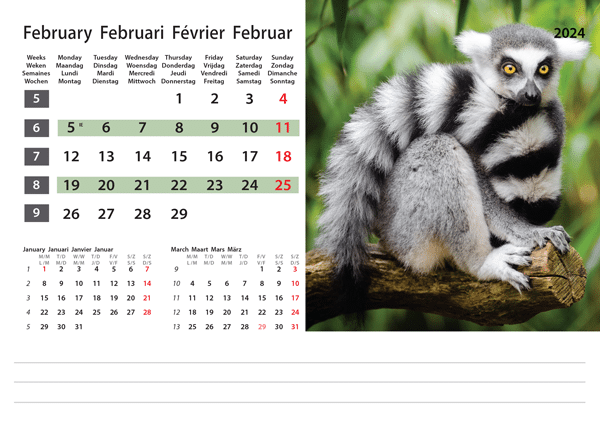 Kantoorkalender Wildlife 2024 - Februari