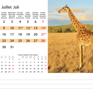Kantoorkalender Wildlife 2024 - Juli
