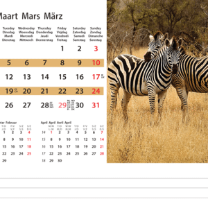 Kantoorkalender Wildlife 2024 - Maart