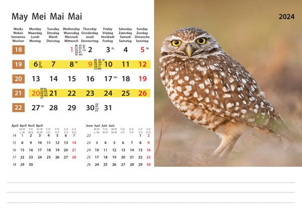 Kantoorkalender Wildlife 2024 - Mei