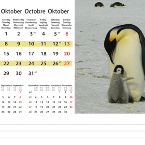 Kantoorkalender Wildlife 2024 - Oktober