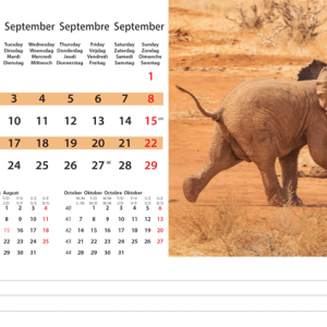 Kantoorkalender Wildlife 2024 - September