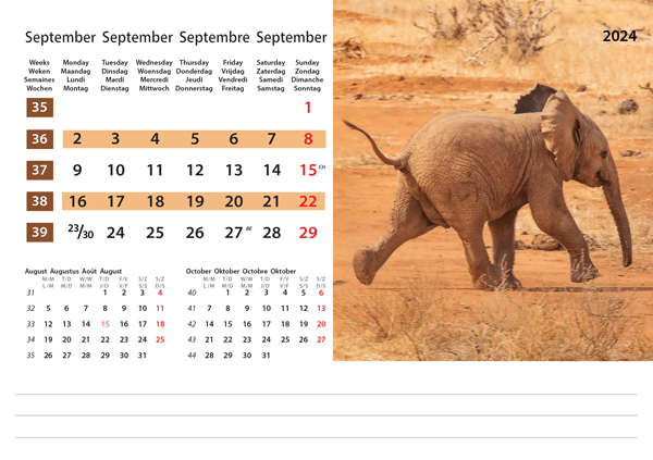 Kantoorkalender Wildlife 2024 - September