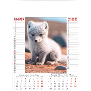 Muurkalender Wild & Free 2025