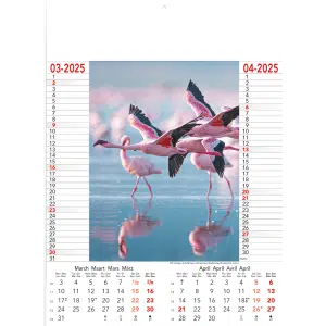 Muurkalender Wild & Free 2025 - pagina 2