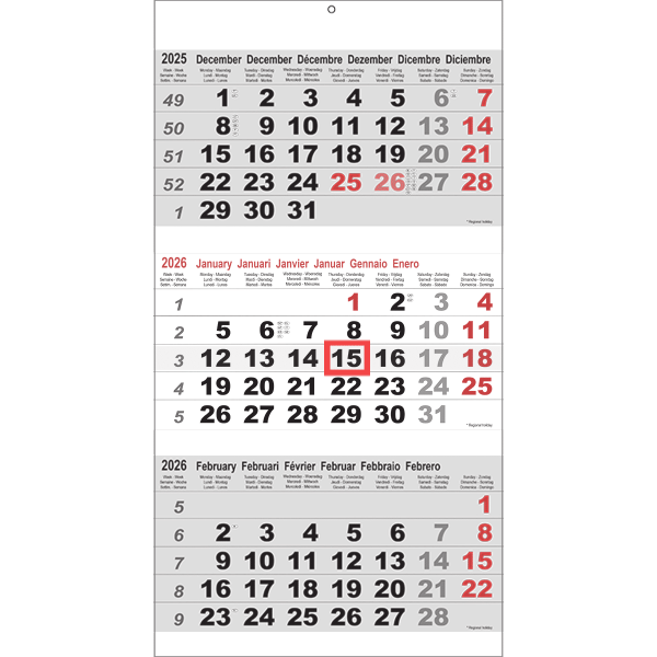 3-maandkalender Maxi 2026