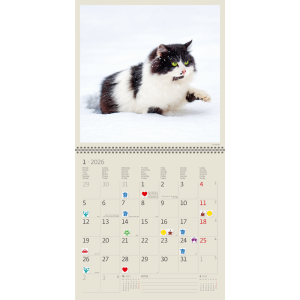 Muurkalender Cats 2026 - januari