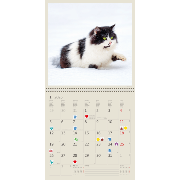 Muurkalender Cats 2026 - januari