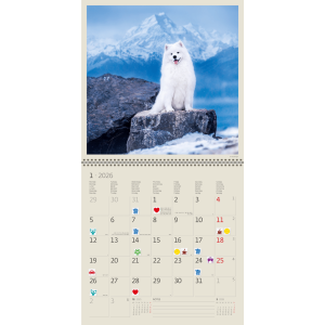 Muurkalender Dogs 2026 - januari
