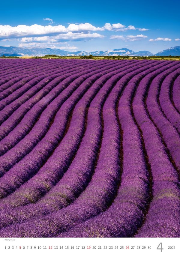 muurkalender Provence 2026 - april