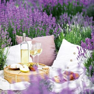 muurkalender Provence 2026 - juni