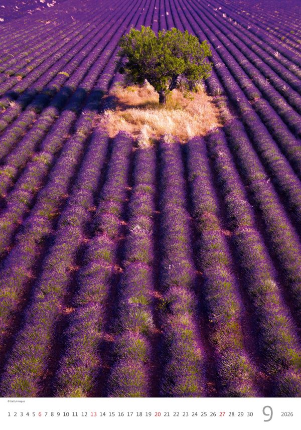 muurkalender Provence 2026 - september