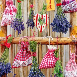 muurkalender Provence 2026 - december