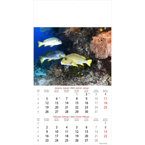 Muurkalender Ocean Wonders 2026