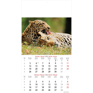 Muurkalender Wildlife 2026