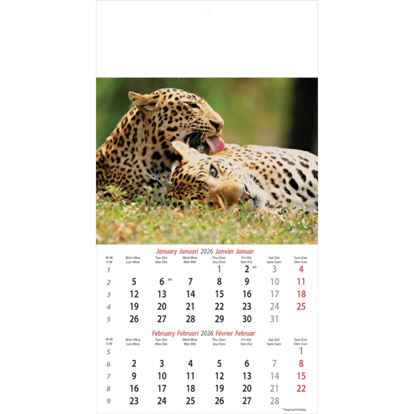 Muurkalender Wildlife 2026