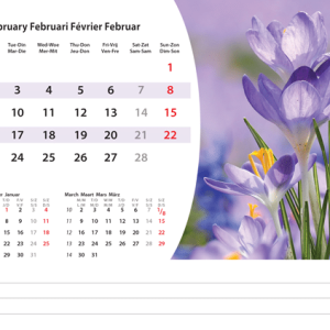Bureaukalender Flowers 2026 - februari