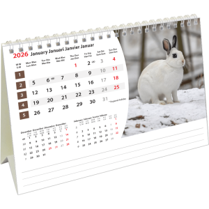 Kantoorkalender Animals 2026 - januari