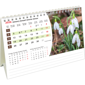 Bureaukalender Flowers 2026 - januari